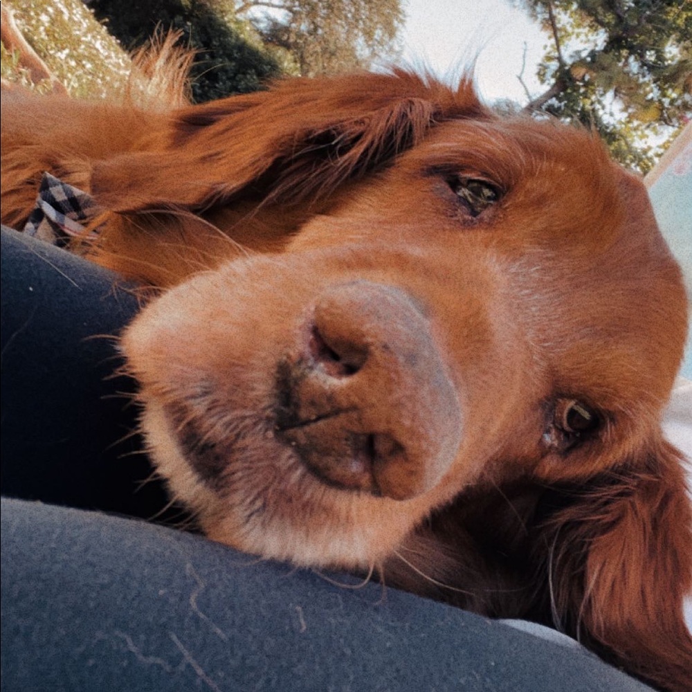 Meet Your Posher, Chloe